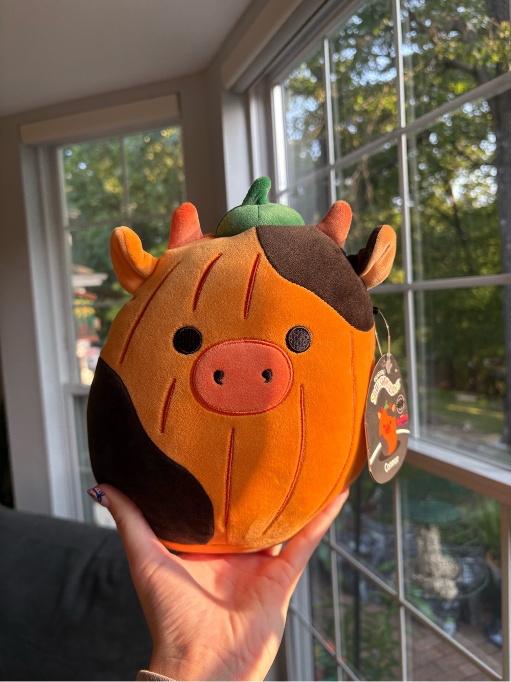 Connor the pumpkin cow squishmallow NWT select series SS mallowmash halloween